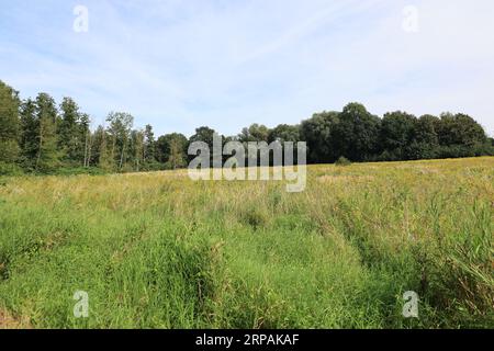 Impressionen aus Bad Sassendorf in der Soester Börde Stockfoto