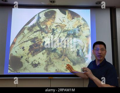 (190514) -- NANJING, 14. Mai 2019 (Xinhua) -- Wang Bo, Forscher am Nanjing Institute of Geology and Palaeontology der Chinesischen Akademie der Wissenschaften (NIGPAS), zeigt ein Bild des ersten bekannten Bernsteins, der ein altes Meerestier namens Ammonit umhüllt, während einer Pressekonferenz in Nanjing, der ostchinesischen Provinz Jiangsu, am 14. Mai 2019. Eine internationale Gruppe unter der Leitung chinesischer Wissenschaftler identifizierte den ersten bekannten Bernstein, der ein altes Meerestier namens Ammonit vor etwa 100 Millionen Jahren umhüllte. Die Studie, die am Montag in den Proceedings der National Academy of Sciences veröffentlicht wurde, beschrieb Stockfoto
