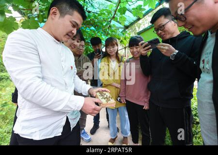 (190518) -- PEKING, 18. Mai 2019 (Xinhua) -- Qiu Kai (1. L), ein Hochschulabsolvent, der in seine Heimatstadt zurückkehrte, um eine Bienenzuchtbasis zu gründen, erklärt den Menschen in der Lincheng Township des Changxing County, ostchinesische Provinz Zhejiang, am 28. April 2019. China wird in einem halben Monat im Sommer Getreideernte in großem Maßstab erleben. (Xinhua/Xu Yu) CHINA-AGRICULTURE-RURAL DEVELOPMENT (CN) PUBLICATIONxNOTxINxCHN Stockfoto