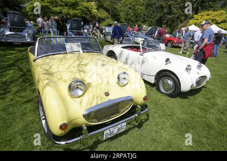 (190518) -- VANCOUVER, 18. Mai 2019 -- zwei 1960er Austin Healey Cabriolets werden während des 34. Vancouver All British Field Meet in Vancouver, Kanada, 18. Mai 2019 gezeigt. Das 34. Vancouver All British Field Meet startete am Samstag mit mehr als 500 ausgestellten Autos, was Tausende von Oldtimern anlockte. ) CANADA-VANCOUVER-BRITISH OLDTIMER SHOW LIANGXSEN PUBLICATIONXNOTXINXCHN Stockfoto