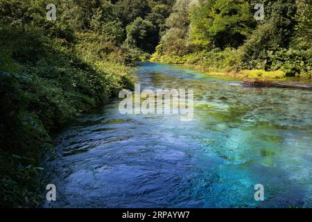 Blaues Auge Naturdenkmal in Albanien. Syri i Kaltër natürliche Quelle mit blauem Wasser und grüner Landschaft in Muzinë. Stockfoto