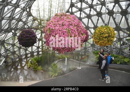 (190527) -- SHANGHAI, 27. Mai 2019 (Xinhua) -- Menschen besuchen Shanghai Garden während der Beijing International Horticultural Exhibition in Peking, Hauptstadt von China, 26. Mai 2019. Shanghai liegt in der Mitte der Ostküste Chinas und der Mündung des Yangtze-Flusses und ist Chinas größtes Wirtschaftszentrum sowie das regionale Drehkreuz der Yangtze-Delta-Region. Als Hinterhof dieser wohlhabenden Metropole ist Chongming Island, eines der ländlichen Bezirke Shanghais, auf dem Weg, sein Ziel zu erreichen, eine ökologische Insel von Weltklasse zu entwickeln. Die Feuchtgebiete der Insel sind erhalten, und ihre Tradition ist erhalten Stockfoto