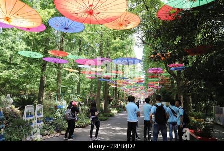 (190527) -- SHANGHAI, 27. Mai 2019 (Xinhua) -- Touristen besuchen Dongping National Forest Park im Chongming District von Shanghai, Ostchinas Shanghai, 22. Mai 2019. Shanghai liegt in der Mitte der Ostküste Chinas und der Mündung des Yangtze-Flusses und ist Chinas größtes Wirtschaftszentrum sowie das regionale Drehkreuz der Yangtze-Delta-Region. Als Hinterhof dieser wohlhabenden Metropole ist Chongming Island, eines der ländlichen Bezirke Shanghais, auf dem Weg, sein Ziel zu erreichen, eine ökologische Insel von Weltklasse zu entwickeln. Die Feuchtgebiete der Insel und ihre traditionellen Dörfer sind erhalten Stockfoto