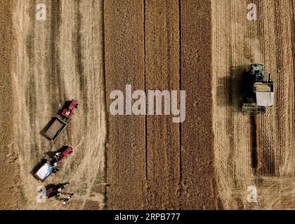 (190530) -- PEKING, 30. Mai 2019 (Xinhua) -- Luftaufnahme, aufgenommen am 29. Mai 2019, zeigt Bauern, die Weizen im Dorf Jiaolou im Bezirk Wuyang, Provinz Henan, in Zentralchina, ernten. (Xinhua/Li an) XINHUA FOTOS DES TAGES PUBLICATIONxNOTxINxCHN Stockfoto