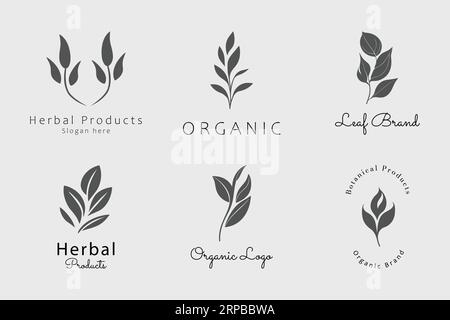 Herbal Products Organic Logo Design Kollektion Stock Vektor