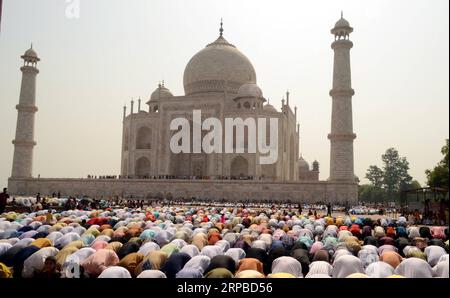 Nachrichten Themen der Woche KW23 190605 -- NEU DELHI, 5. Juni 2019 Xinhua -- indische Muslime besuchen Eid al-Fitr Gebete vor dem Hintergrund des majestätischen Taj Mahal in Agra, Indien, 5. Juni 2019. EID al-Fitr markiert das Ende des Fastenmonats Ramadan. Xinhua/Stringer INDIA-EID-AL-FITR-PRAYERS PUBLICATIONxNOTxINxCHN Stockfoto