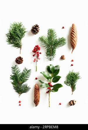 Sammlung verschiedener Koniferen und Kegel auf weißem Hintergrund. Flach liegend Weihnachtskomposition mit winterlicher Naturdekoration. Stockfoto