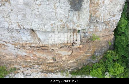 (190612) -- PEKING, 12. Juni 2019 (Xinhua) -- Arbeiter bauen Fußpfad auf einer Bergklippe im Badong County, zentralchinesische Provinz Hubei, 10. Juni 2019. (Xinhua/Yang Shunpi) XINHUA FOTOS DES TAGES PUBLICATIONxNOTxINxCHN Stockfoto