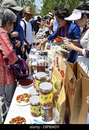 (190612) -- PEKING, 12. Juni 2019 (Xinhua) -- Besucher sehen sich Essensausstellungen während einer Veranstaltung zum Thema Alxa League und dessen Ejina-Banner in der Autonomen Region Innere Mongolei in Nordchina während der Internationalen Gartenbauausstellung 2019 in Peking im Bezirk Yanqing, Peking, Hauptstadt von China, am 12. Juni 2019 an. (Xinhua/Li Xin) CHINA-PEKING-GARTENBAU EXPO-THEME EVENT-ALXA LEAGUE-EJINA BANNER (CN) PUBLICATIONxNOTxINxCHN Stockfoto