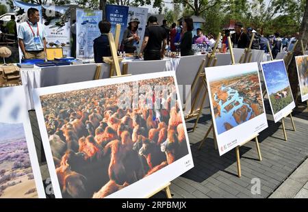 (190612) -- PEKING, 12. Juni 2019 (Xinhua) -- Foto vom 12. Juni 2019 zeigt eine Veranstaltung zum Thema Alxa League und Ejina Banner in der Autonomen Region Innere Mongolei in Nordchina während der Internationalen Gartenbauausstellung in Peking im Bezirk Yanqing, Peking, Hauptstadt Chinas. (Xinhua/Li Xin) CHINA-PEKING-GARTENBAU EXPO-THEME EVENT-ALXA LEAGUE-EJINA BANNER (CN) PUBLICATIONxNOTxINxCHN Stockfoto