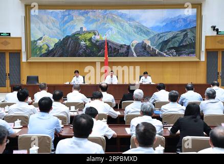 (190612) -- PEKING, 12. Juni 2019 (Xinhua) -- der chinesische Staatsrat Wang Yong, der auch der Leiter der führenden Gruppe der Kampagne gegen Verletzungen von Rechten des geistigen Eigentums (IPR) und Fälschungen ist, spricht während einer nationalen Tagung über die Bekämpfung von Verletzungen von Rechten des geistigen Eigentums und gefälschten Waren in Peking, der Hauptstadt Chinas, am 12. Juni 2019. (Xinhua/Rao aimin) CHINA-BEIJING-WANG YONG-MEETING (CN) PUBLICATIONxNOTxINxCHN Stockfoto