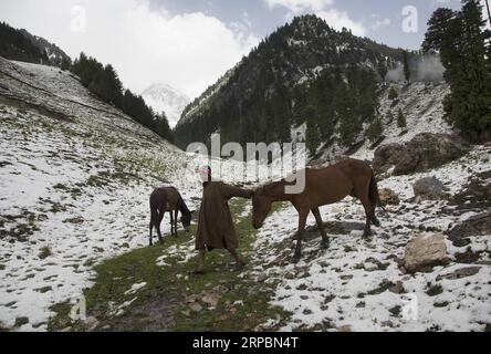 (190613) -- SRINAGAR, 13. Juni 2019 -- Ein Nomad führt Pferde nach einem Schneefall in Sonmarg, am Rande von Srinagar, der Sommerhauptstadt des von Indien kontrollierten Kaschmirs, 12. Juni 2019. ) KASCHMIR-SRINAGAR-SNOWFALL JavedxDar PUBLICATIONxNOTxINxCHN Stockfoto