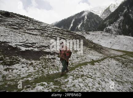 (190613) -- SRINAGAR, 13. Juni 2019 -- Ein Nomad geht auf einem Pfad auf einem Hügel nach einem Schneefall in Sonmarg, am Rande von Srinagar, der Sommerhauptstadt des von Indianern kontrollierten Kaschmirs, 12. Juni 2019. ) KASCHMIR-SRINAGAR-SNOWFALL JavedxDar PUBLICATIONxNOTxINxCHN Stockfoto