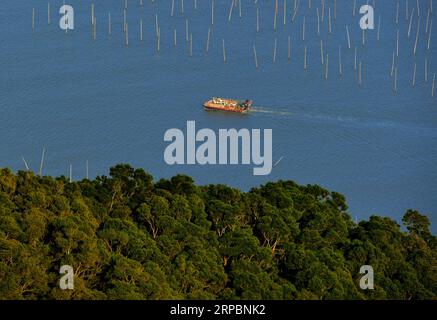 (190613) -- PEKING, 13. Juni 2019 (Xinhua) -- Ein Fischerboot wird auf dem Meer in der Sansha Township von Xiapu County, südöstliche chinesische Provinz Fujian, 15. März 2019 gesehen. An der Südostküste Chinas gelegen, liegt die Provinz Fujian zwischen Bergen und dem Meer. In dem Bewusstsein, dass luzide Gewässer und üppige Berge unschätzbare Werte sind, hat Fujian in den letzten Jahren große Erfolge in Bezug auf die ökologische Entwicklung erzielt. Die Provinz ist seit 40 Jahren Chinas Nummer 1 mit einer Waldbedeckungsrate von 67 Prozent. Neben der hohen Wasserqualität genießen die Bewohner auch GO Stockfoto