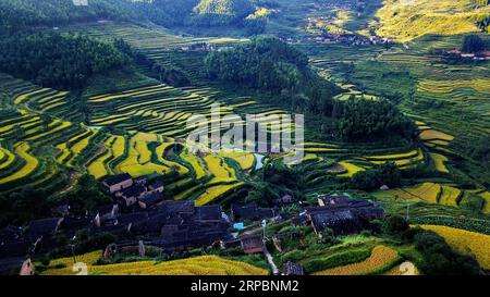 (190613) -- PEKING, 13. Juni 2019 (Xinhua) -- Luftaufnahme aufgenommen am 21. September 2018 zeigt die Terrassenfelder im Dorf Houyuan der Gemeinde Wutun in Wuyishan, südöstliche Provinz Fujian. An der Südostküste Chinas gelegen, liegt die Provinz Fujian zwischen Bergen und dem Meer. In dem Bewusstsein, dass luzide Gewässer und üppige Berge unschätzbare Werte sind, hat Fujian in den letzten Jahren große Erfolge in Bezug auf die ökologische Entwicklung erzielt. Die Provinz ist seit 40 Jahren Chinas Nummer 1 mit einer Waldbedeckungsrate von 67 Prozent. Außer hoher Wasserqualität Stockfoto