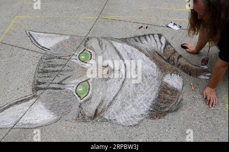 (190616) -- LOS ANGELES, 16. Juni 2019 (Xinhua) -- ein Künstler malt mit Kreide während des Pasadena Chalk Festivals in Los Angeles, USA, 15. Juni 2019. Am Wochenende des 15-16. Juni findet das 27. Jährliche Pasadena Chalk Festival statt. Hunderte von erfahrenen Kreidekünstlern aus der ganzen Welt kommen zusammen, um die einzigartige Kunstform zu feiern. (Xinhua/Li Ying) U.S.-LOS ANGELES-CHALK FESTIVAL PUBLICATIONxNOTxINxCHN Stockfoto