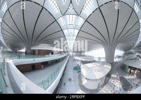 (190618) -- PEKING, 18. Juni 2019 (Xinhua) -- Foto aufgenommen am 18. Juni 2019 zeigt das Terminalgebäude des Beijing Daxing International Airport in Peking, der Hauptstadt Chinas. Der Bau des internationalen Flughafens Beijing Daxing wird voraussichtlich bis Ende dieses Monats abgeschlossen sein. Der neue Flughafen soll bis September 30 in Betrieb genommen werden. (Xinhua/Zhang Yudong) CHINA-BEIJING-DAXING INT L AIRPORT-CONSTRUCTION (CN) PUBLICATIONxNOTxINxCHN Stockfoto