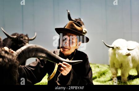 (190619) -- LHASA, 19. Juni 2019 (Xinhua) -- Wu Yuchu überprüft ein Yak-Exemplar im Yak-Museum in Lhasa, Hauptstadt der autonomen Region Tibet im Südwesten Chinas, 14. Mai 2019. Vor über 40 Jahren war Wu Yuchu in einem Schneesturm in der autonomen Region Tibet im Südwesten Chinas gefangen. Es war 1977, zwei Jahre nachdem Wu in Tibet gearbeitet hatte. Er und mehr als 50 andere Menschen mussten sich in einem Lehmziegelhaus verstecken. Die Außentemperaturen sanken auf minus 30 Grad und das Essen ging aus. Die Hoffnung schien zu verschwinden. Als das Rettungsteam sie endlich mit Yaks fand, die lebensrettende Vorräte trugen, Wu Stockfoto