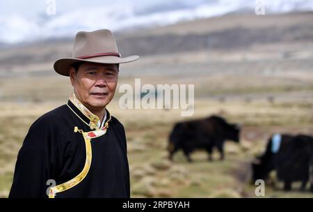 (190619) -- LHASA, 19. Juni 2019 -- Wu Yuchu wird mit Yaks auf einem Grasland im Norden der Autonomen Region Tibet im Südwesten Chinas gesehen, 23. Mai 2019. Vor über 40 Jahren war Wu Yuchu in einem Schneesturm in der autonomen Region Tibet im Südwesten Chinas gefangen. Es war 1977, zwei Jahre nachdem Wu in Tibet gearbeitet hatte. Er und mehr als 50 andere Menschen mussten sich in einem Lehmziegelhaus verstecken. Die Außentemperaturen sanken auf minus 30 Grad und das Essen ging aus. Die Hoffnung schien zu verschwinden. Als das Rettungsteam sie endlich mit Yaks fand, die lebensrettende Vorräte trugen, fühlte sich Wu sofort verbunden Stockfoto