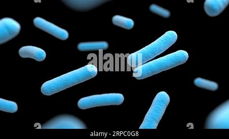 Bakterien. Isoliert. Prokaryotische Mikroorganismen. Blaue und schwarze Farbe. 3D-Abbildung. Stockfoto