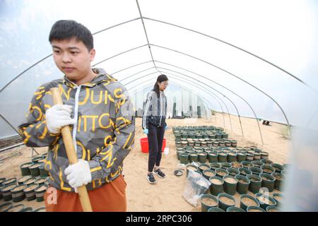 (190622) -- YINCHUAN, 22. Juni 2019 (Xinhua) -- Li Luchen (R), ein Student der Pekinger Forstuniversität, überprüft Topfpflanzen in einem grünen Haus in der Shaquanwan-Demonstrationszone im Yanchi County, NORDWESTCHINA Ningxia Hui Autonomous Region, 27. Mai 2019. Das am südlichen Rand der Maowusu-Wüste gelegene Yanchi County war einst von Armut betroffen und litt unter Wüstenbildung. Aber nach jahrelangen Bemühungen wurde die Umwelt dort wiederhergestellt, und auch die Grafschaft hat die Armut abgeschwächt. (Xinhua/Ding Hongfa) CHINA-NINGXIA-YANCHI-POVERTY ELIMINATION (CN) PUBLICATIONxNOTxINxCHN Stockfoto