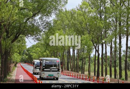 (190622) -- YINCHUAN, 22. Juni 2019 (Xinhua) -- Touristen fahren mit Fahrzeugen durch das Naturschutzgebiet Haba Lake im Yanchi County, Nordwestchinas autonome Region Ningxia Hui, 27. Mai 2019. Das am südlichen Rand der Maowusu-Wüste gelegene Yanchi County war einst von Armut betroffen und litt unter Wüstenbildung. Aber nach jahrelangen Bemühungen wurde die Umwelt dort wiederhergestellt, und auch die Grafschaft hat die Armut abgeschwächt. (Xinhua/Ding Hongfa) CHINA-NINGXIA-YANCHI-POVERTY ELIMINATION (CN) PUBLICATIONxNOTxINxCHN Stockfoto