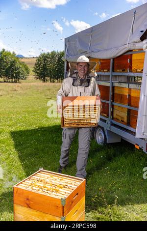 Sammeln Sie das Honigkonzept. Imker auf Imkerei. Imkereikonzept. Stockfoto