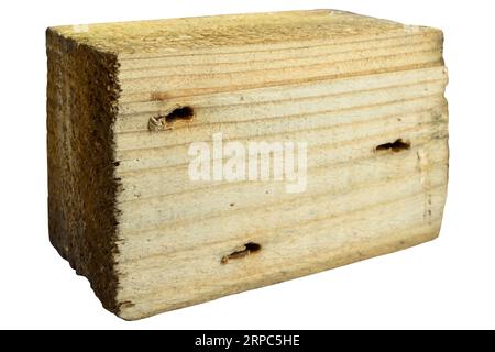 Natürliche Kiefernholz gerissene Plank Textur. Körnung, Abdeckung. Isoliert auf weißem Hintergrund Stockfoto