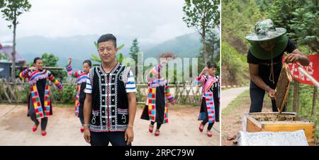 (190626) -- KUNMING, 26. Juni 2019 -- das am 16. Juni 2019 aufgenommene Combo-Foto zeigt das Porträt von Zha Hai, der ethnischen Gruppe der Lahu (L, Foto von Hu Chao) und Zha, die eine Ausbildung in einer Imkerei-Basis in Banmu, Dorf Mengsuo, Stadt Pu er, Provinz Yunnan im Südwesten Chinas (R, Foto aufgenommen von ) erhalten haben. Zhiguo-Minderheiten sind besondere Mitglieder der 56 ethnischen Gruppen Chinas. Der Begriff Zhiguo bezieht sich auf Minderheitengruppen, die vor der Modernisierung in relativer Isolation gelebt und die mit der feudalen Monarchie verbundene Übergangszeit übersprungen hatten. Yunnan ist ein wichtiges konzentriertes Gebiet der Zhiguo-Minderheiten in Stockfoto