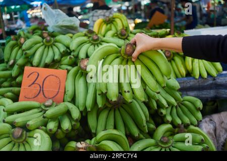 Angeschnittene Hand, die einen Haufen roher Bananen am Marktstand hält Stockfoto