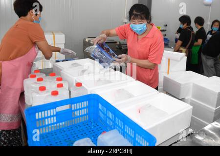 (190627) -- XIANJU, 27. Juni 2019 -- Bauern packen chinesische Bajbeeren in einer Genossenschaft im Xianju County, ostchinesische Provinz Zhejiang, 27. Juni 2019. Xianju County begann die Erntesaison für chinesische Bajbeeren. Die Anbaufläche chinesischer Bajbeeren im Xianju County belief sich auf 138.000 Mu (etwa 9.200 Hektar), was im Jahr 2018 einen Produktionswert von 667 Millionen Yuan (etwa 96,97 Millionen US-Dollar) ergab. ) CHINA-ZHEJIANG-XIANJU-CHINESE BAYBERRY-HARVEST (CN) HUANGXZONGZHI PUBLICATIONXNOTXINXCHN Stockfoto