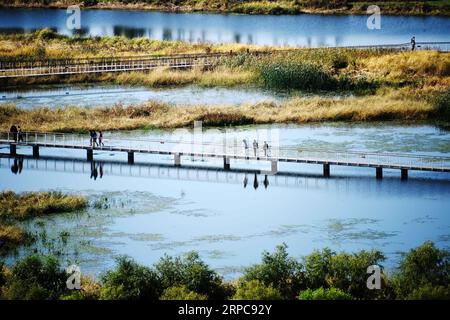 (190628) -- PEKING, 28. Juni 2019 -- Touristen schlendern auf einem Fußweg in einem Feuchtgebiet in Harbin, Hauptstadt der nordöstlichen Provinz Heilongjiang, 2. Oktober 2016. Im Sommer wird der Fujin National Wetland Park in der nordöstlichen Provinz Heilongjiang zu einem Paradies für Wildvögel. Es war jedoch vor Jahren eine völlig andere Szene. Der Feuchtgebiet-Park war früher ein riesiger Landstrich mit tief gelegenen Ackerflächen. Das ursprüngliche ökologische System des Feuchtgebietes wurde wiederhergestellt, seit politische Maßnahmen umgesetzt wurden, um marginales Ackerland in Wälder, Grünland und Feuchtgebiete in der gesamten Provinz umzuwandeln. Heilongjiang b Stockfoto