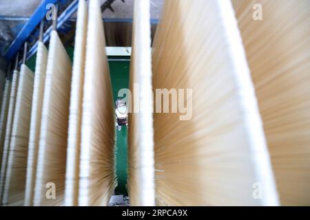 (190629) -- CHONGQING, 29. Juni 2019 -- Ein Arbeiter überprüft Nudeln bei Baiyujia Food Company im Bezirk QIANJIANG, südwestchinesisches Chongqing, 28. Juni 2019. Xu Zhangqin, ein einheimischer Nudelhersteller, lernte schon als Kind von seinen Eltern, handgemachte Nudeln herzustellen. Xu leitete eine Nudelwerkstatt in der frühen Phase seines Geschäfts und gründete 2015 die Baiyujia Food Company, die moderne Nudelproduktionslinie einführte, um die traditionellen manuellen Techniken mit mechanischen Geräten zu kombinieren. Während er traditionelle Nudeln herstellte, entwickelte er auch fast 20 Nudelsorten. Außerdem, m Stockfoto