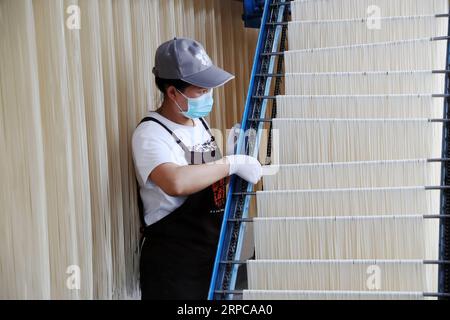 (190629) -- CHONGQING, 29. Juni 2019 -- Ein Arbeiter überprüft Nudeln bei Baiyujia Food Company im Bezirk QIANJIANG, südwestchinesisches Chongqing, 28. Juni 2019. Xu Zhangqin, ein einheimischer Nudelhersteller, lernte schon als Kind von seinen Eltern, handgemachte Nudeln herzustellen. Xu leitete eine Nudelwerkstatt in der frühen Phase seines Geschäfts und gründete 2015 die Baiyujia Food Company, die moderne Nudelproduktionslinie einführte, um die traditionellen manuellen Techniken mit mechanischen Geräten zu kombinieren. Während er traditionelle Nudeln herstellte, entwickelte er auch fast 20 Nudelsorten. Außerdem, m Stockfoto