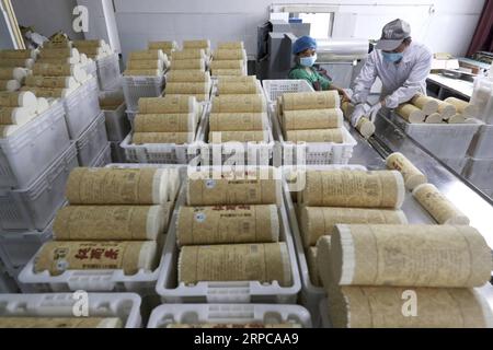 (190629) -- CHONGQING, 29. Juni 2019 -- Arbeiter stellen Nudeln bei Baiyujia Food Company im Bezirk QIANJIANG im südwestchinesischen Chongqing her, 28. Juni 2019. Xu Zhangqin, ein einheimischer Nudelhersteller, lernte schon als Kind von seinen Eltern, handgemachte Nudeln herzustellen. Xu leitete eine Nudelwerkstatt in der frühen Phase seines Geschäfts und gründete 2015 die Baiyujia Food Company, die moderne Nudelproduktionslinie einführte, um die traditionellen manuellen Techniken mit mechanischen Geräten zu kombinieren. Während er traditionelle Nudeln herstellte, entwickelte er auch fast 20 Nudelsorten. Außerdem noch mehr Stockfoto