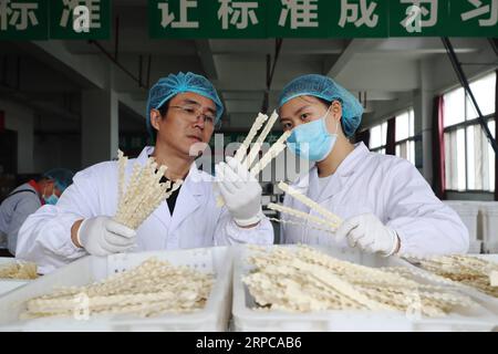 (190629) -- CHONGQING, 29. Juni 2019 -- Xu Zhangqin (L) diskutiert die Herstellungstechniken von Nudeln mit einem Mitarbeiter des Baiyujia-Lebensmittelunternehmens im Bezirk QIANJIANG im südwestchinesischen Chongqing, 24. Oktober 2018. Xu Zhangqin, ein einheimischer Nudelhersteller, lernte schon als Kind von seinen Eltern, handgemachte Nudeln herzustellen. Xu leitete eine Nudelwerkstatt in der frühen Phase seines Geschäfts und gründete 2015 die Baiyujia Food Company, die moderne Nudelproduktionslinie einführte, um die traditionellen manuellen Techniken mit mechanischen Geräten zu kombinieren. Während er traditionelle Nudeln herstellte, entwickelte er auch Stockfoto