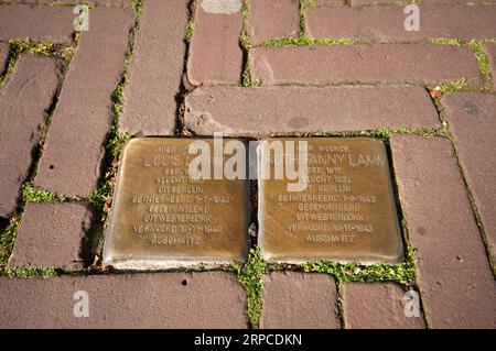 Stolpersteine, Messingkopfsteinpflaster für die Opfer der Shoah in Amsterdam, Niederlande Stockfoto