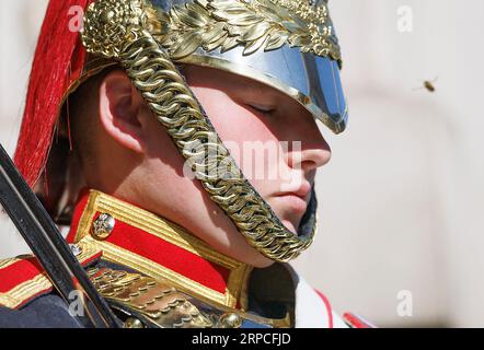 London, Großbritannien. September 2023. Ein Mitglied des Household Cavalry Mounted Regiment schwelt in der Mittagshitze bei Horseguards in Whitehall, Westminster. Eine Hitzewelle in dieser Woche könnte möglicherweise die höchsten Temperaturen des Jahres bringen. Foto: Ben Cawthra/SIPA USA Credit: SIPA USA/Alamy Live News Stockfoto