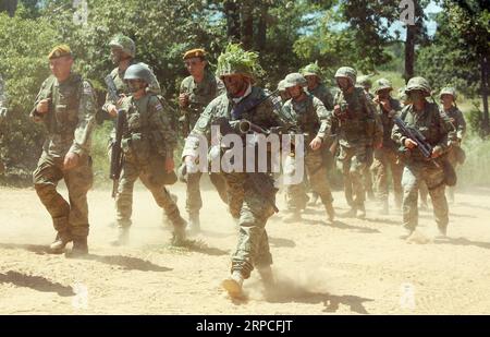 (190703) -- SLUNJ (KROATIEN), 3. Juli 2019 -- am 3. Juli 2019 nehmen kroatische Soldaten an der Militärübung Puma 19 in Slunj (Kroatien) Teil. ) KROATIEN-SLUNJ-MILITÄRISCHE ÜBUNG-PUMA 19 KristinaxStedulxFabac PUBLICATIONxNOTxINxCHN Stockfoto