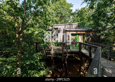 Baumhäuser im Naturerlebnispark Panarbora in Waldbroel, Bergisches Land, Nordrhein-Westfalen, Deutschland. Baumhaeuser Naturerlebnispark Panar Stockfoto