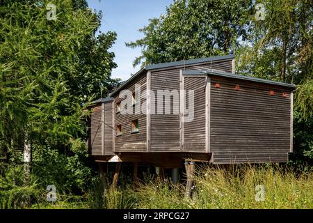 Baumhäuser im Naturerlebnispark Panarbora in Waldbroel, Bergisches Land, Nordrhein-Westfalen, Deutschland. Baumhaeuser Naturerlebnispark Panar Stockfoto