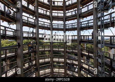 Besucher, die im Inneren des 40 Meter hohen Aussichtsturms spazieren gehen, sind Teil des Baumwipfelpfades im Naturerlebnispark Panarbora in Waldbroel, Bergisches Stockfoto