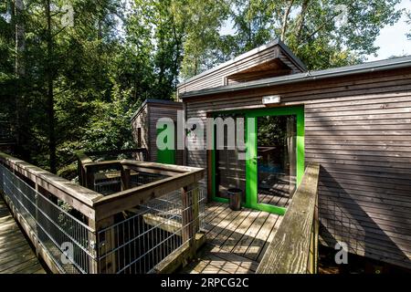 Baumhäuser im Naturerlebnispark Panarbora in Waldbroel, Bergisches Land, Nordrhein-Westfalen, Deutschland. Baumhaeuser Naturerlebnispark Panar Stockfoto