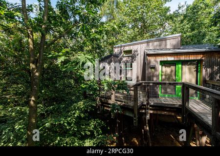 Baumhäuser im Naturerlebnispark Panarbora in Waldbroel, Bergisches Land, Nordrhein-Westfalen, Deutschland. Baumhaeuser Naturerlebnispark Panar Stockfoto