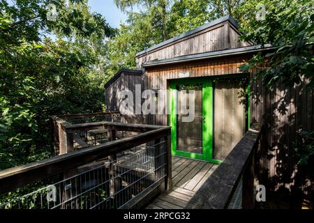 Baumhäuser im Naturerlebnispark Panarbora in Waldbroel, Bergisches Land, Nordrhein-Westfalen, Deutschland. Baumhaeuser Naturerlebnispark Panar Stockfoto