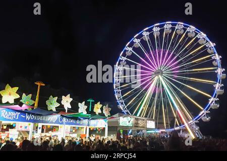 (190706) -- ZAMARDI, 6. Juli 2019 -- am 5. Juli 2019 findet am Ufer des Plattensees in Zamardi, Ungarn, ein Musikfestival des Balaton Sound statt. ) UNGARN-ZAMARDI-BALATON SOUND-MUSIK-FESTIVAL ATTILAXVOLGYI PUBLICATIONXNOTXINXCHN Stockfoto