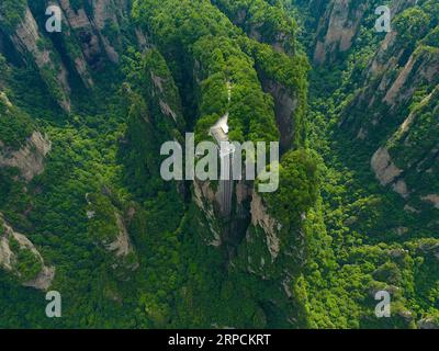 (190708) -- PEKING, 8. Juli 2019 -- Foto aufgenommen am 1. Juni 2019 zeigt den 326 Meter hohen Bailong Elevator, den weltweit höchsten Außenaufzug, im Wulingyuan Scenic Area in Zhangjiajie, der zentralchinesischen Provinz Hunan. Die Provinz Hunan liegt in Zentralchina und ist für ihre abwechslungsreiche Topographie bekannt. Er grenzt im Norden an den Dongting Lake, und die Ost-, Süd- und Westseite der Provinz sind von Bergen umgeben, mit den Wuling- und Xuefeng-Bergen im Westen, dem Nanling-Berg im Süden, den Luoxiao- und den Mufu-Bergen im Osten. Die Flüsse Xiangjiang, Zijiang, Yuanjiang und Lishui Co Stockfoto