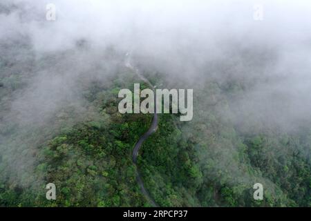 (190710) -- XING AN, 10. Juli 2019 -- Luftaufnahme aufgenommen am 30. Juni 2019 zeigt Wolken, die den Laoshanjie-Berg in Xing, einem Kreis der südchinesischen autonomen Region Guangxi Zhuang, umhüllen. Gedenkhallen und Märtyrerfriedhöfe entstehen in den letzten Jahren an vielen revolutionären Orten, insbesondere an den Orten entlang der langen Marschroute. Besucher aus ganz China kommen zu diesen Gedenkstätten, verbinden sich mit der Geschichte, holen den Geist des langen Marsches zurück und verleihen dem roten Tourismusboom mehr Schwung. Mitte Oktober 1934 starteten die Soldaten der Roten Armee das epischste Militärmanöver in China Stockfoto