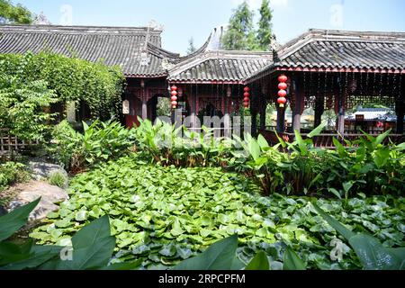 (190711) -- CHONGQING, 11. Juli 2019 -- Foto aufgenommen am 10. Juli 2019 zeigt die Landschaft des Xiuhu National Wetland Park im Bezirk Bishan im südwestlichen China Chongqing. ) CHINA-CHONGQING-BISHAN-WETLAND PARK-LANDSCHAFT (CN) LIUXCHAN PUBLICATIONXNOTXINXCHN Stockfoto