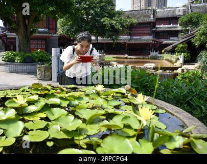 (190711) -- CHONGQING, 11. Juli 2019 -- Ein Besucher macht Fotos im Xiuhu National Wetland Park im Bezirk Bishan, südwestchinesisches Chongqing, 10. Juli 2019. ) CHINA-CHONGQING-BISHAN-WETLAND PARK-LANDSCHAFT (CN) LIUXCHAN PUBLICATIONXNOTXINXCHN Stockfoto